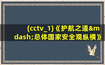 (cctv_1)《护航之道—总体国家安全观纵横》