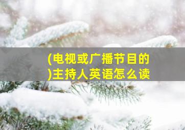 (电视或广播节目的)主持人英语怎么读