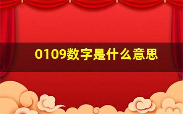 0109数字是什么意思