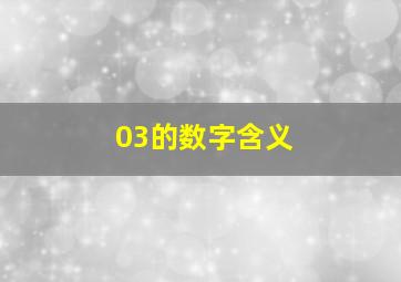 03的数字含义