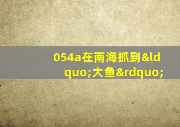 054a在南海抓到“大鱼”