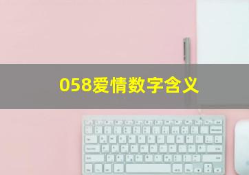 058爱情数字含义