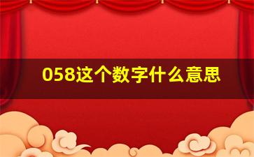 058这个数字什么意思