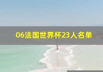 06法国世界杯23人名单