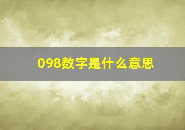 098数字是什么意思