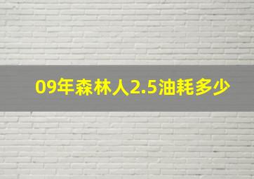 09年森林人2.5油耗多少