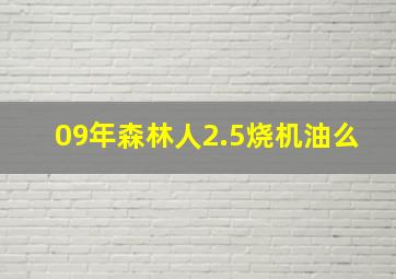 09年森林人2.5烧机油么