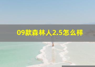 09款森林人2.5怎么样