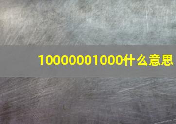 10000001000什么意思