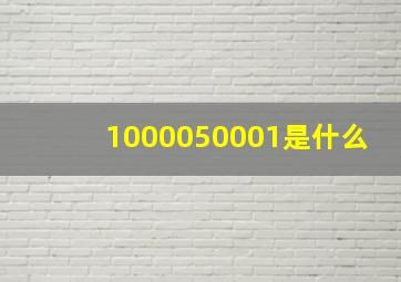 1000050001是什么