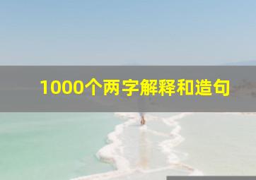 1000个两字解释和造句