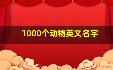 1000个动物英文名字