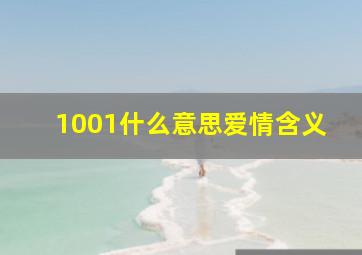 1001什么意思爱情含义