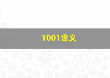 1001含义