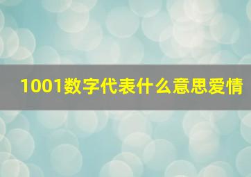 1001数字代表什么意思爱情