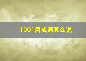 1001用成语怎么说