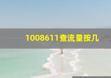 1008611查流量按几