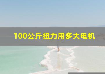 100公斤扭力用多大电机