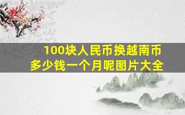 100块人民币换越南币多少钱一个月呢图片大全