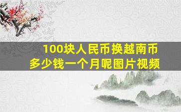 100块人民币换越南币多少钱一个月呢图片视频