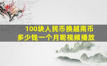 100块人民币换越南币多少钱一个月呢视频播放