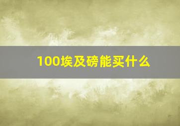 100埃及磅能买什么