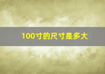 100寸的尺寸是多大