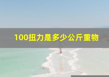 100扭力是多少公斤重物