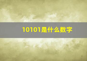 10101是什么数字