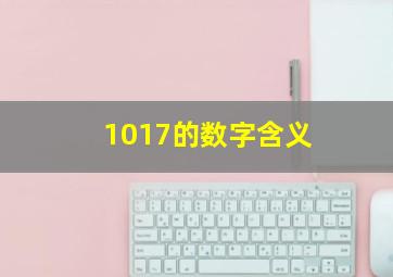 1017的数字含义