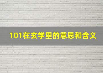 101在玄学里的意思和含义