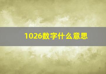 1026数字什么意思