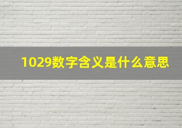 1029数字含义是什么意思