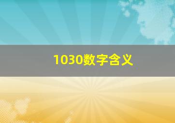 1030数字含义