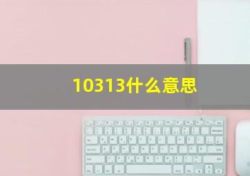 10313什么意思