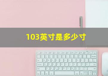 103英寸是多少寸