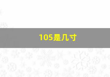 105是几寸