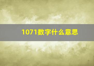 1071数字什么意思