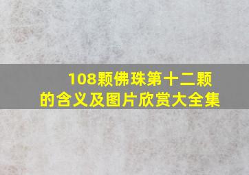 108颗佛珠第十二颗的含义及图片欣赏大全集