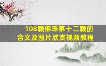 108颗佛珠第十二颗的含义及图片欣赏视频教程