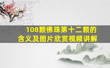 108颗佛珠第十二颗的含义及图片欣赏视频讲解