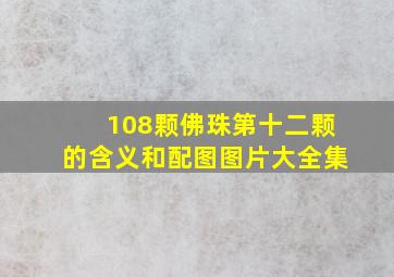 108颗佛珠第十二颗的含义和配图图片大全集