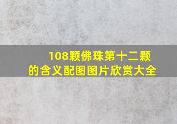 108颗佛珠第十二颗的含义配图图片欣赏大全