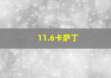 11.6卡萨丁