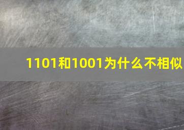 1101和1001为什么不相似