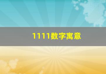 1111数字寓意