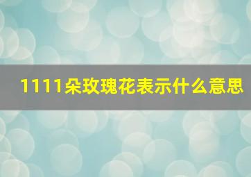 1111朵玫瑰花表示什么意思