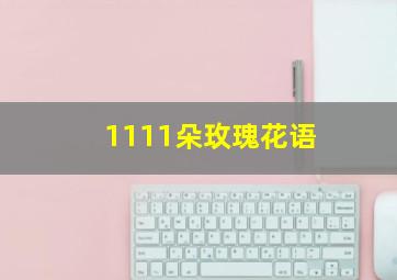 1111朵玫瑰花语