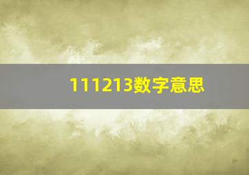 111213数字意思