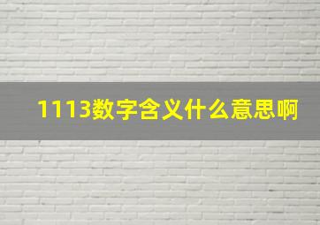 1113数字含义什么意思啊